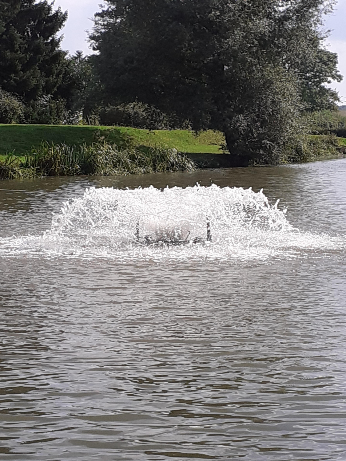 Aération plan d'eau - FLOBULL
