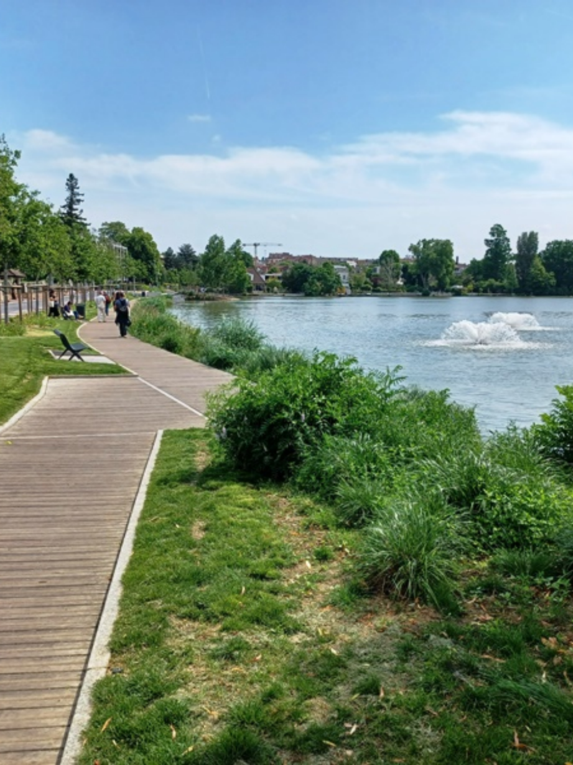 Aération plan d'eau - FLOBULL