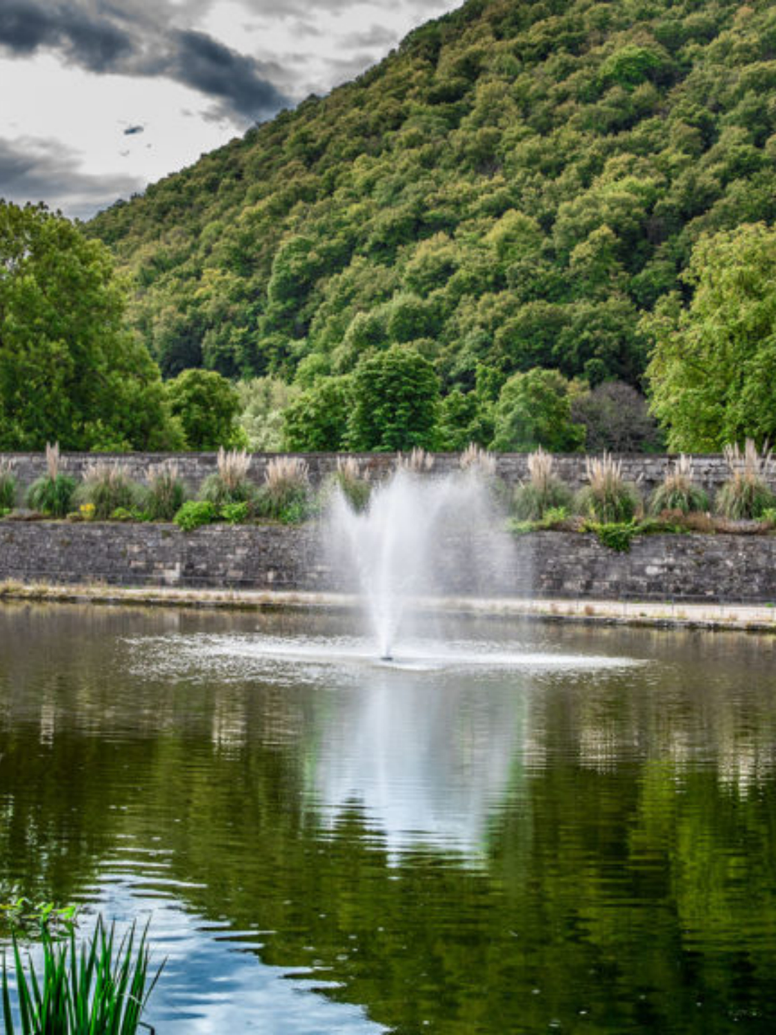 Aération plan d'eau